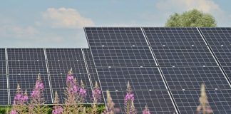 AboitizPower inaugurates 92-MWp Pangasinan solar plant, expanding renewable portfolio Aboitiz Renewables